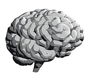 Grey Human Brain, Half Turn View. 3D Illustration