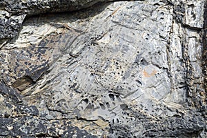 Grey igneous rocks background