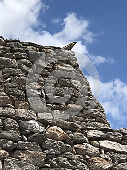 A grey iguana basks in the sunshine of a Mayan pyramid