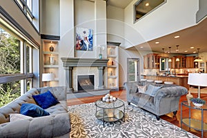 Grey interior of high vaulted ceiling family room.