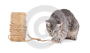 grey kitten playing with a reel of string