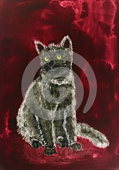 Grey kitten on a whine red background.