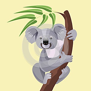 Grey koala bear isolated on wood branch with green leaves