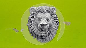 Grey Lion head statue
