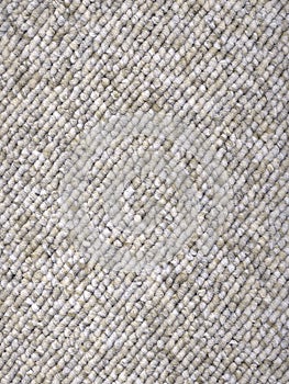 Grey Loop-Woven Carpet