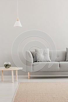 Grey lounge in real photo of bright living room interior with white lamp, carpet and wooden table. Paste your graphic here