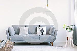 Grey lounge with two pillows in the real photo of white living room interior with fresh plant and empty wall with place for your p