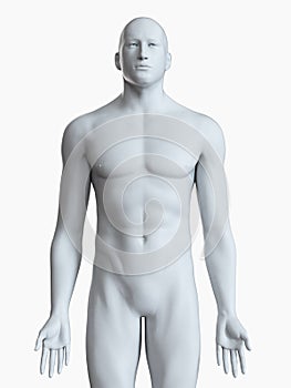 A grey male body