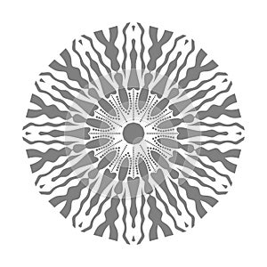 Grey Mandala Vector On White Background Illustrations