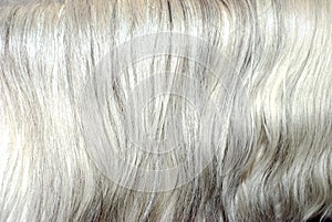 Grey mane hair background