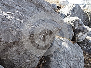 Grey marble texture shot through with subtle white veining Natural pattern for backdrop or background, Can also be used for create