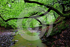 Grey Mares Tail Waterfall and river