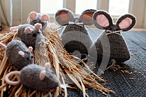 Grey mouse on dry sheaf of rice plants with black background