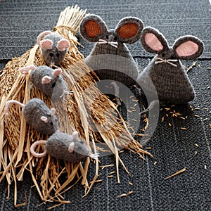 Grey mouse on dry sheaf of rice plants with black background