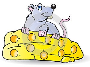 Grey Mouse eat big cheese