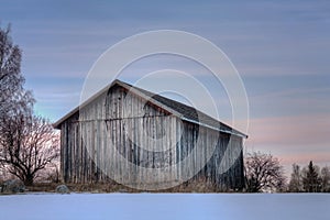 Grey old barn in evening sunset