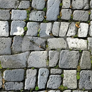 Grey Old Stone Pavement Top View, Granite Cobblestone Road, Green Moss, Wet Surface