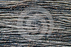Grey old wood texture background