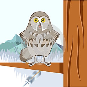 Grey Owl on the winter tree flat background