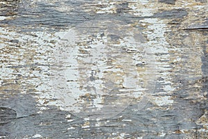 Grey painted color blank Board panel wood wall texture, old vintage style grunge with cracked surface background for