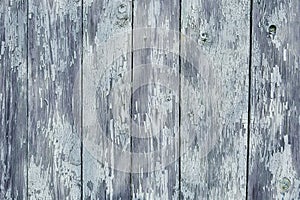 Grey painted color blank Board panel wood wall texture, old vintage style grunge with cracked surface background for your text,