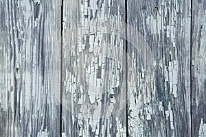 Grey painted color blank Board panel wood wall texture, old vintage style grunge with cracked surface background for your text,