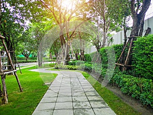 Grey pattern of concrete walkway on smooth green grass lawn, greenery trees and shrub in a good maintenance landscape and garden