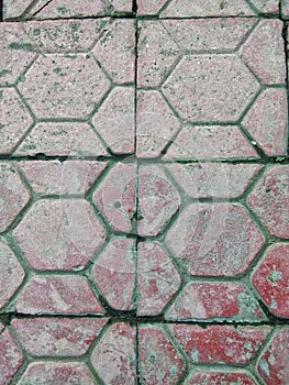 Grey paving block or con block floor