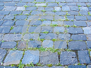 Grey paving stones close-up. Texture of an old dark stone with wet snow, slush and mud. Road surface with snow. Vintage, grunge