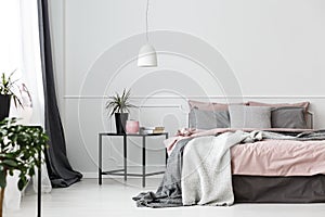 Grey and pink bedroom interior