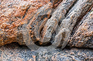 Grey and pink gneiss metamorphic rock..