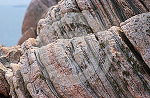 Grey and pink gneiss metamorphic rock