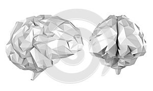 Grey polygonal brain