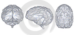 Grey polygonal brain