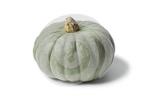 Grey pumpkin named Confection