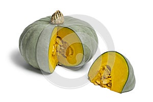 Grey pumpkin named Confection photo