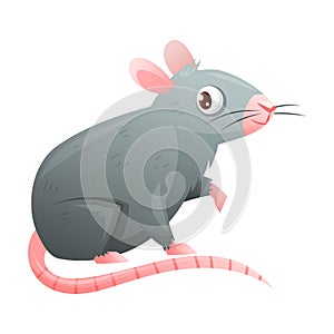 Grey Rat with Cute Snout and Long Tail as Home Pet Animal Vector Illustration