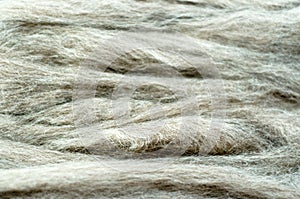 Grey raw wool background