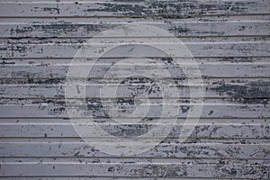 Grey Real Wood Texture Background. Vintage and Old