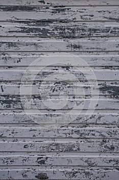 Grey Real Wood Texture Background. Vintage and Old