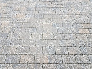 Grey rectangle bricks on the ground or floor photo