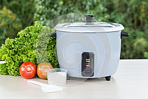 Grey rice cooker