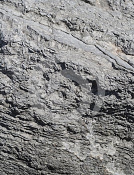 Grey rock texture