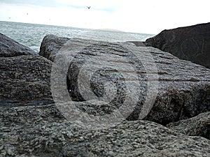 grey rocks ocean beach water