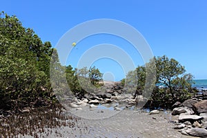 Rocks, rockpools and trees with sea and parachute in background. photo