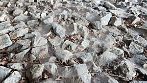 Grey rocks or stones or boulders with spider webs