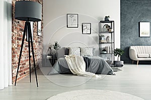 Grey roomy apartment