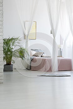 Grey rug placed on the floor in white bedroom interior with green plant, modern poster hanging on the wall and double bed with pi