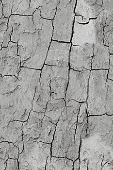 Grey rustic texture background with craquelure