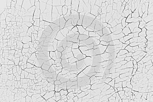 Grey rustic texture background with craquelure. Monochrome